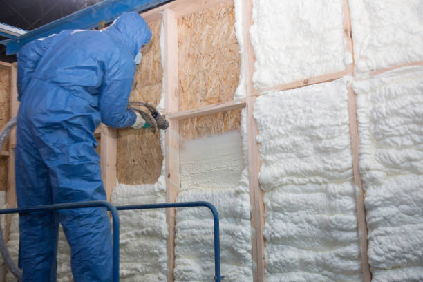 Thermal Imaging for Insulation Gaps